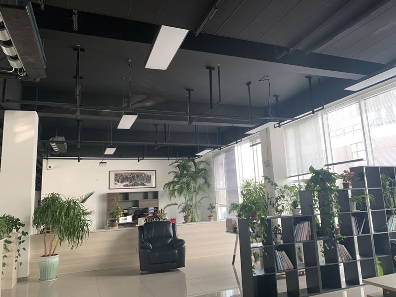 公司环境